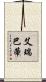 艾瑞巴蒂 Scroll