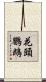 花頭鸚鵡 Scroll