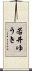 若井ゆうき Scroll