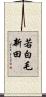 若白毛新田 Scroll