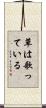 草は歌っている Scroll