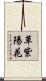 草紫陽花 Scroll