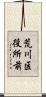 荒川区役所前 Scroll