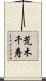 荒木千寿 Scroll