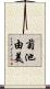 菊池由美 Scroll