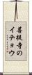 菩提寺のイチョウ Scroll