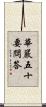 華嚴五十要問答 Scroll