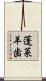 蓬莱羊歯 Scroll