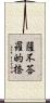 薩不荅羅的捺 Scroll