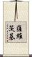 Sawicki Scroll