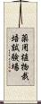 薬用植物栽培試験場 Scroll
