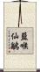 藍喉仙鶲 Scroll