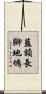 藍額長腳地鴝 Scroll
