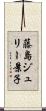 藤島ジュリー景子 Scroll
