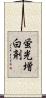 蛍光増白剤 Scroll