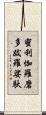 蜜利伽羅磨多跋羅娑馱 Scroll