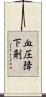 血圧降下剤 Scroll