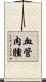 血管肉腫 Scroll
