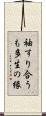 袖すり合うも多生の縁 Scroll