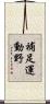 補足運動野 Scroll