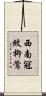 西南冠紋柳鶯 Scroll