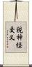 視神経交叉 Scroll