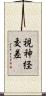 視神経交差 Scroll