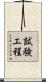 試験工程 Scroll