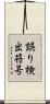 誤り検出符号 Scroll