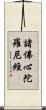 諸佛心陀羅尼經 Scroll