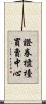 證券櫃檯買賣中心 Scroll
