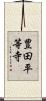豊田平等寺 Scroll