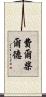 Fairchild Scroll