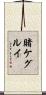 Kakegurui Scroll
