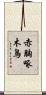 赤胸啄木鳥 Scroll