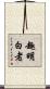 趣明白者 Scroll