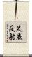 足底反射 Scroll