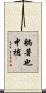 躺著也中槍 Scroll