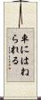 車にはねられる Scroll