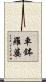 車鉢羅婆 Scroll