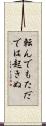 転んでもただでは起きぬ Scroll