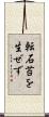 転石苔を生ぜず Scroll