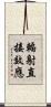 輻射直接效應 Scroll