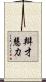 辯才慧力 Scroll