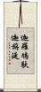 迦羅鳩馱迦旃延 Scroll
