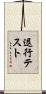 退行テスト Scroll
