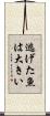 逃げた魚は大きい Scroll