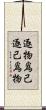 逐物爲己逐己爲物 Scroll