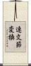 連文節変換 Scroll
