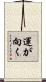 運が向く Scroll